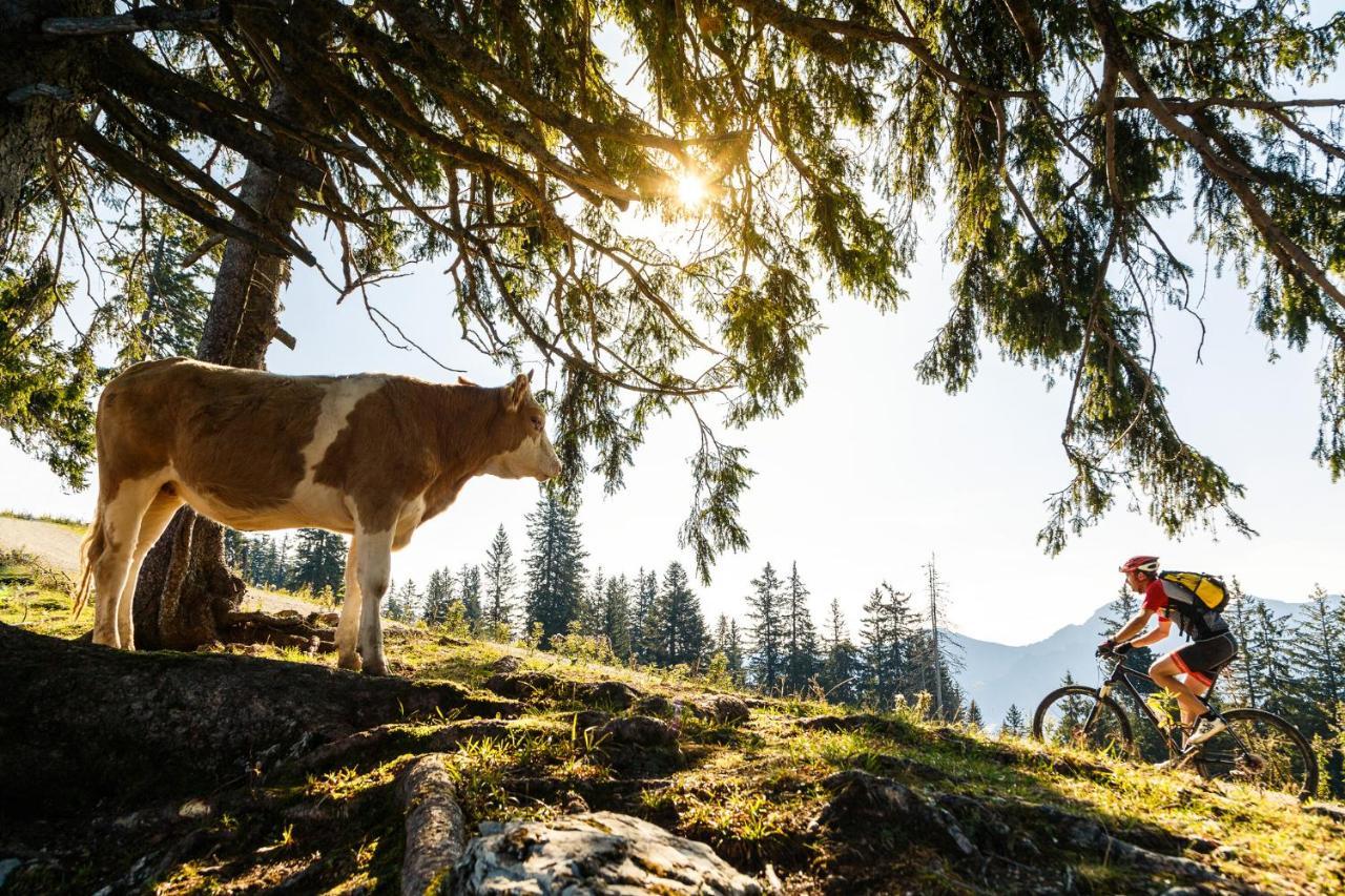 Pension Bergblick Ruhpolding Esterno foto